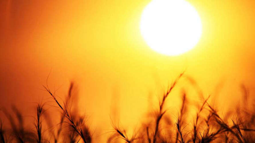 kerala weather update heat wave in three districts