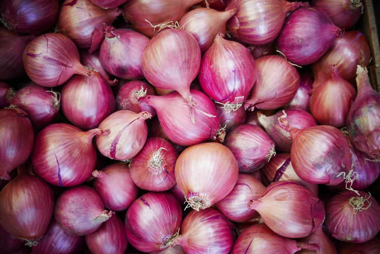 onion export ban continued makes protest from farmers