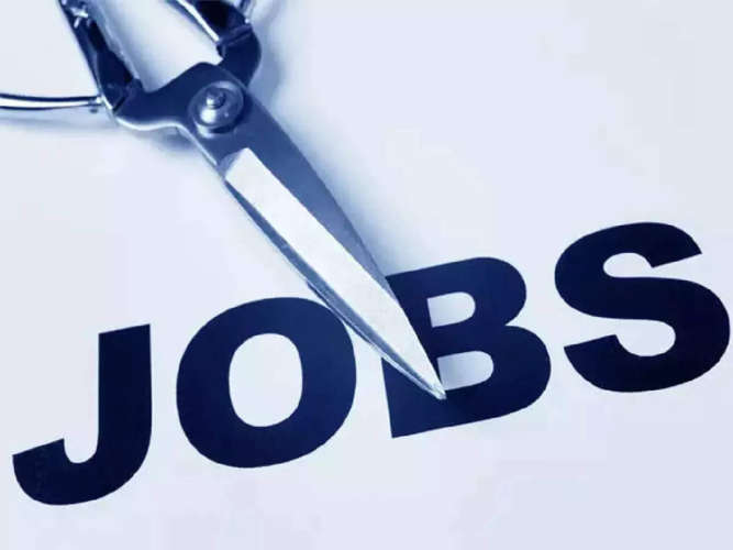 temporary govt job in kerala for plus two qualification