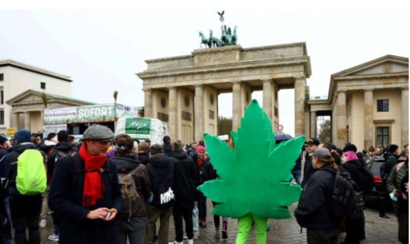 Germany legalises cannabis possession and home cultivation for personal use