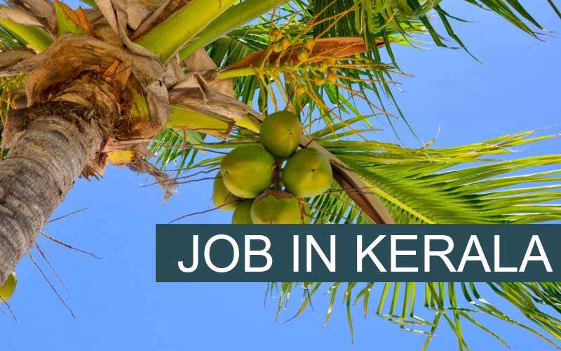 job in kerala under nalikera department