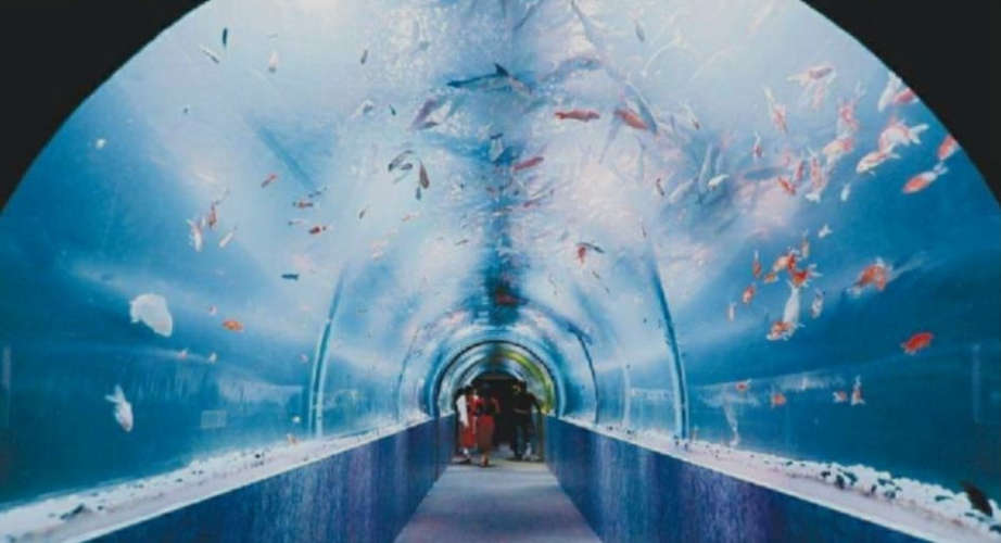 Underwater Tunnel Aquarium