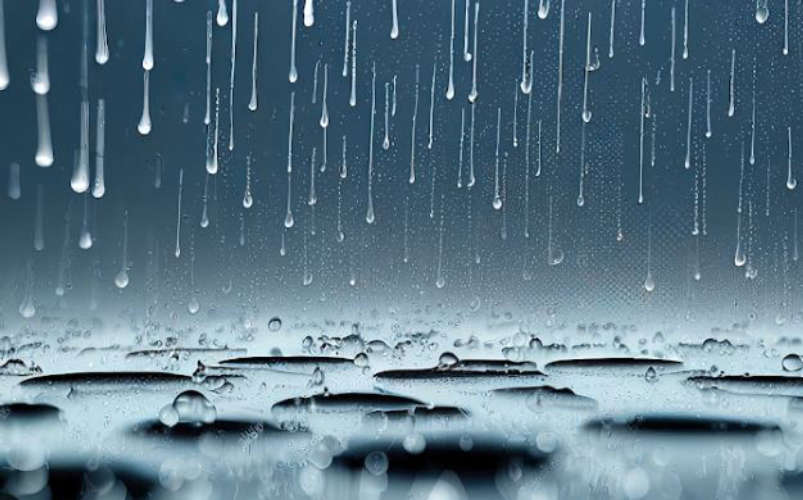 Rain warning: Chance of rain in 8 districts