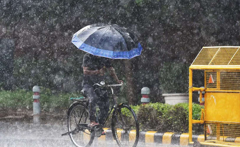 weather report in kerala rain in all districts