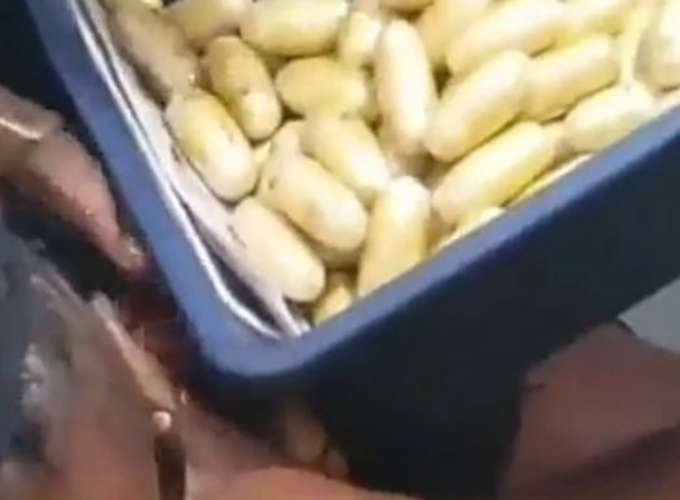 15 crore worth of intoxicating pills were swallowed