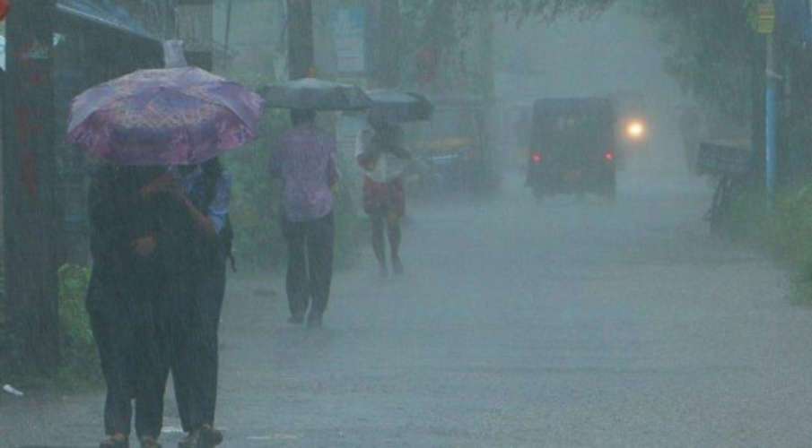 kerala weather report yellow alert in four districts