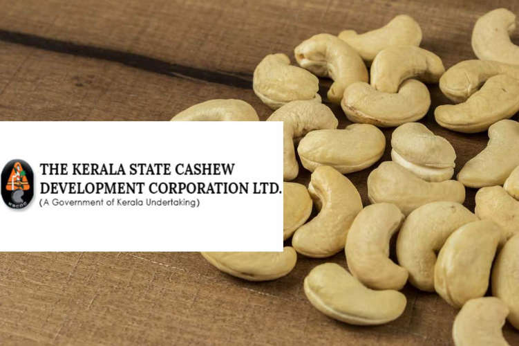 job in kerala cashew development corporation apply now