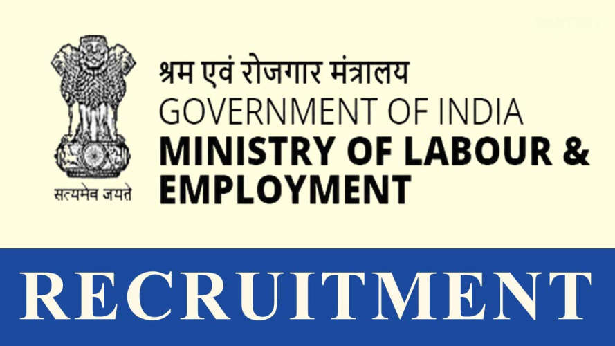 young proffessional recruitment in central labour ministry