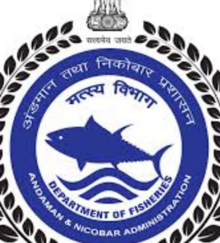 Fisheries Department as breeding ground for negligence