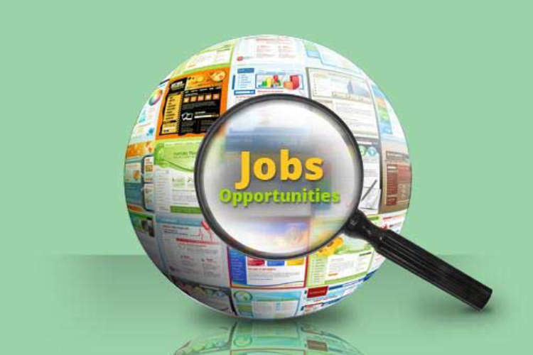 temporary government job in kerala apply this week
