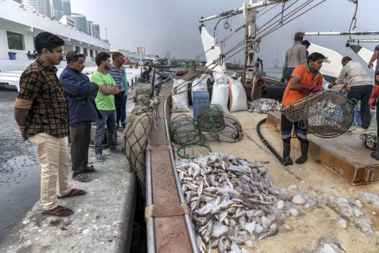 Five million dirhams as Eid gift to fishermen in Ajman
