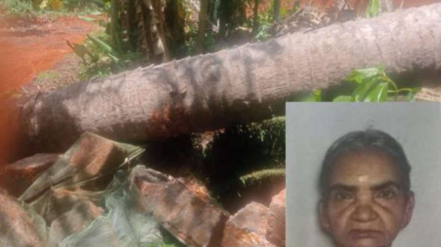  tree fell and an elderly person died in calicut