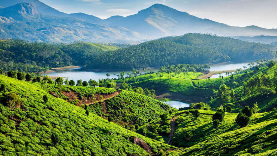 munnar encroachment case on high court today