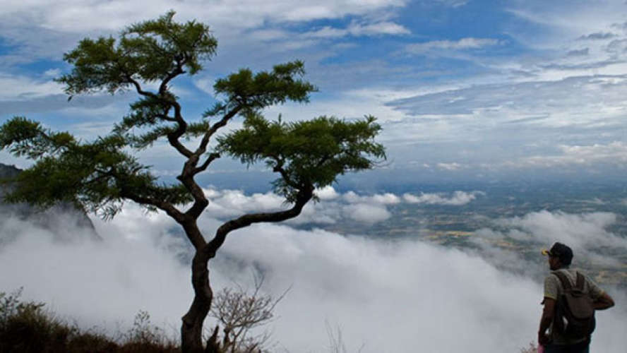 ravel-explore-nelliyampathy-palakkad