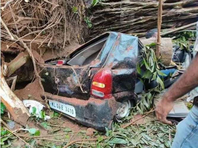 tree-fell-on-vehicles-in-adimali-kothamangalam