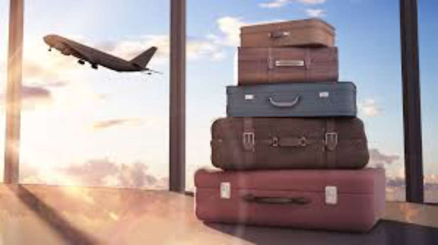 luggage looser website launched for report luggage  