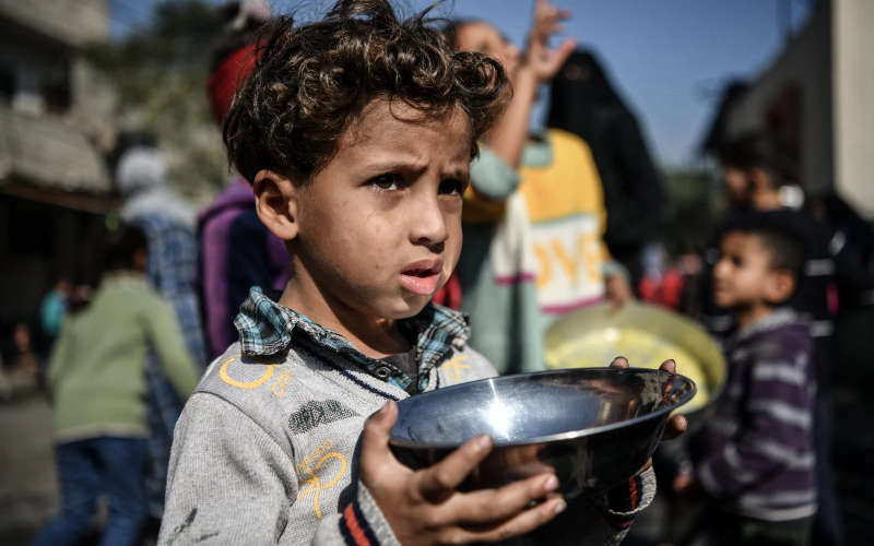 Desperate for food, Gazans turn to mulberry leaves to survive