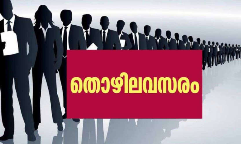 various job offer in kerala government sector apply now