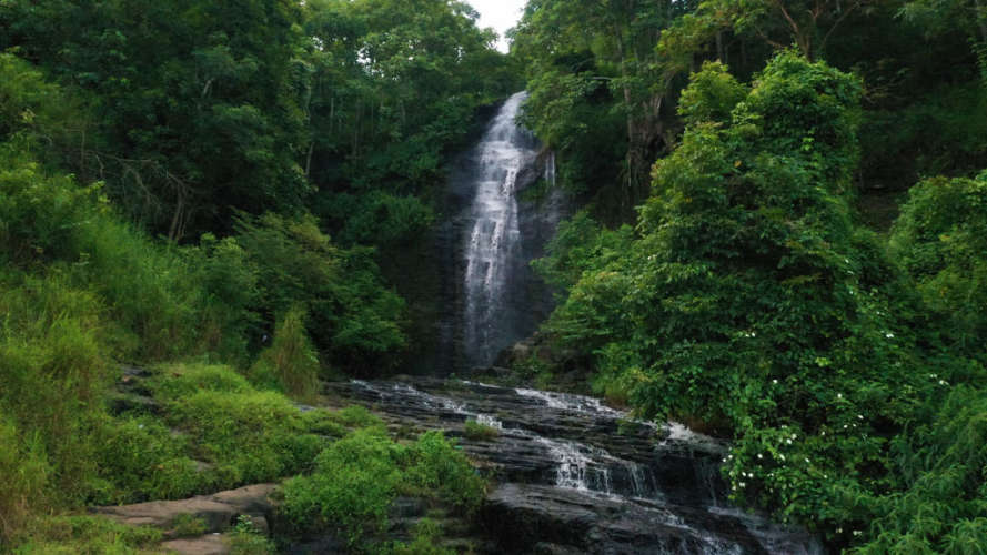 Paloorkotta waterfalls 