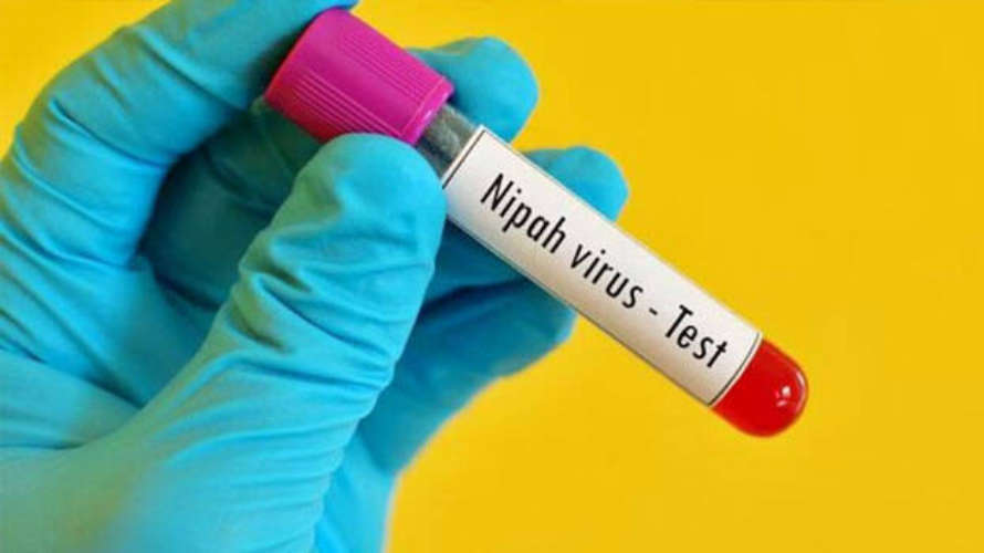 ten more people tested negative in nipah cases kerala including the mother and relatives of deceased