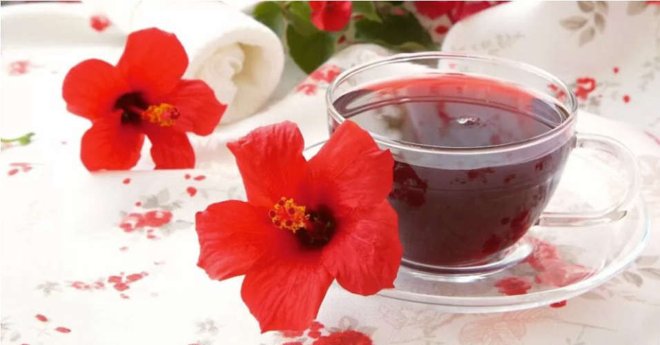 Best 4 Medicinal Uses Of Hibiscus Flowers