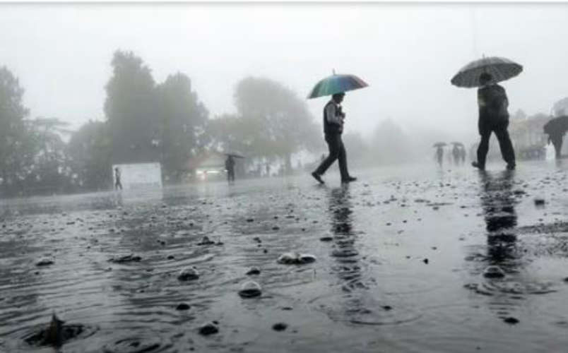 heavy rain alert in kerala-latest information