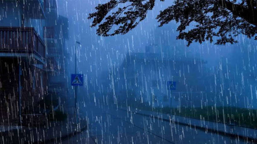 kerala rain yellow alert in seven districts