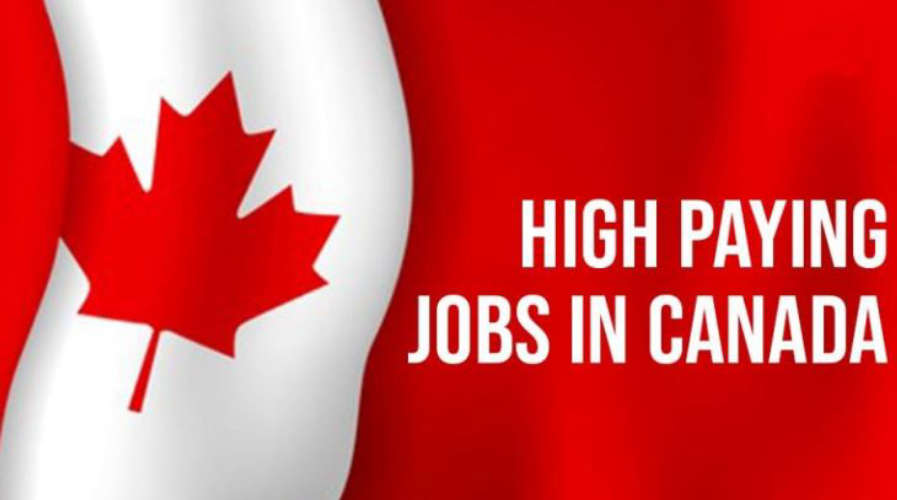 Get job in government department that too in Canada know more