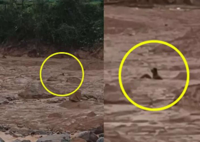 A man covered in mud waiting for food