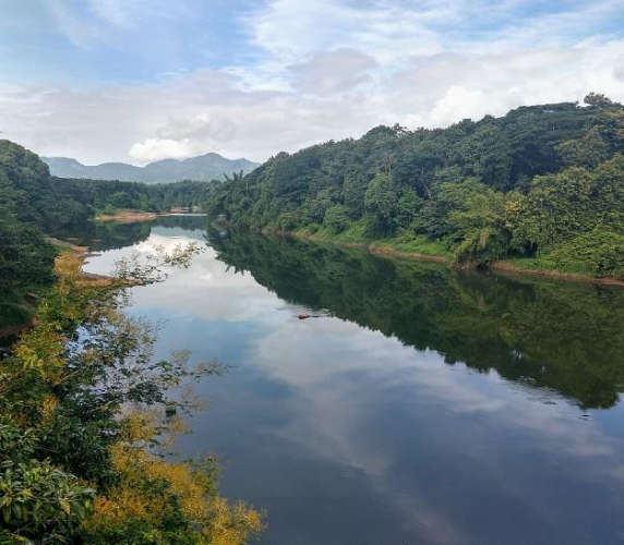 11 dead bodies washed up in Chaliyar river