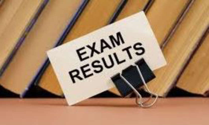 upsc engineering services exam result published