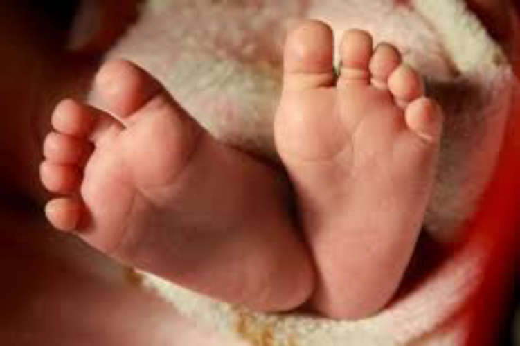 newborn-was-killed-and-buried-at-alappuzha-poochakkal-two-men-arrrested