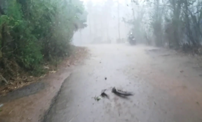 Heavy Rain Causes Flooding and Landslides in Malappuram Relief Camps Established