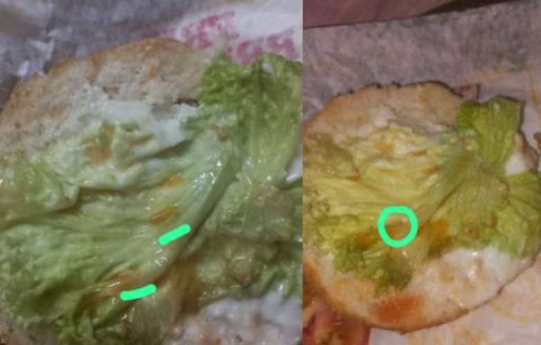 Live Worm Found in Burger Two People Hospitalized in Kozhikode