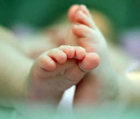 Newborn Baby Missing Mother Alleges Murder and Secret Burial