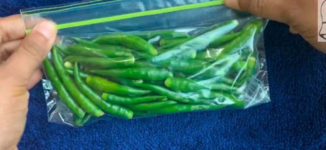 Green chillies can be kept intact for months Try this