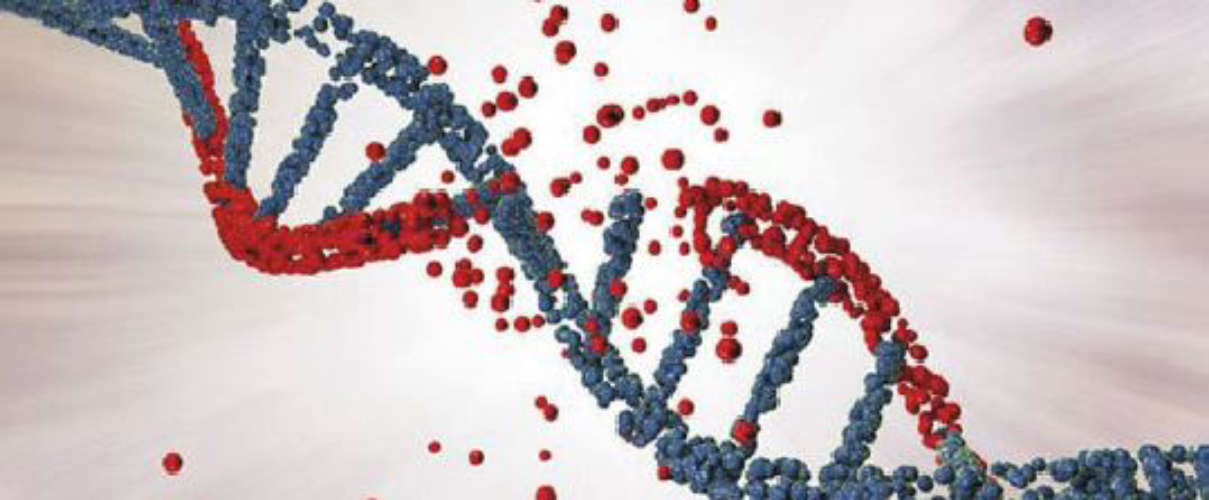 Genetic testing -married in Abu Dhabi from October 1