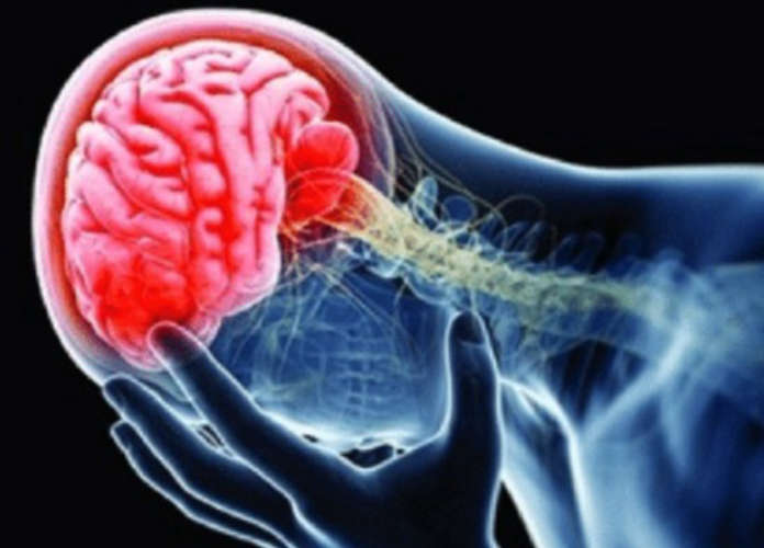 Historic Achievement for Kerala 10 Patients Recover from Brain-Eating Amoebic Meningitis