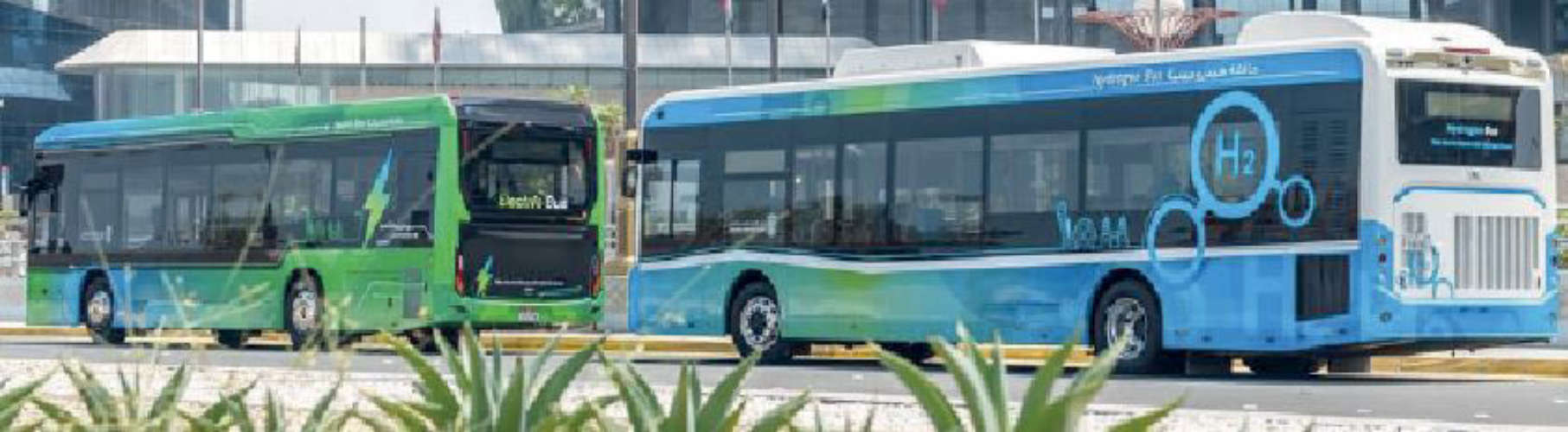 Green Bus services started in Abu Dhabi