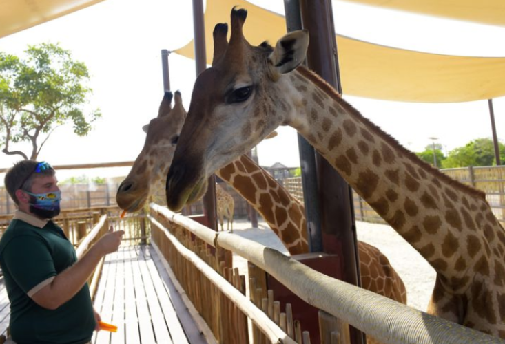 Dubai Safari Park opened