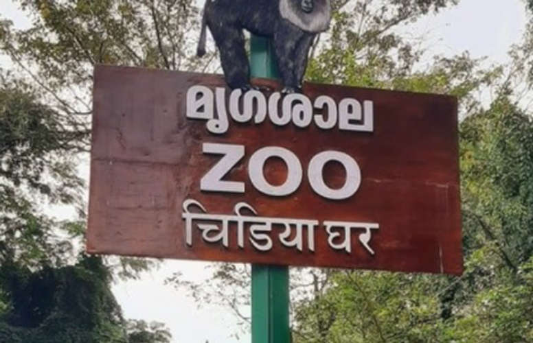 Third Monkey Escapes from Zoo Later Captured