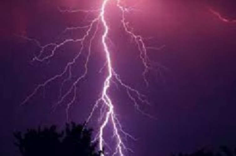 5 Injured in Lightning Strike at Bedadka in Kasaragod