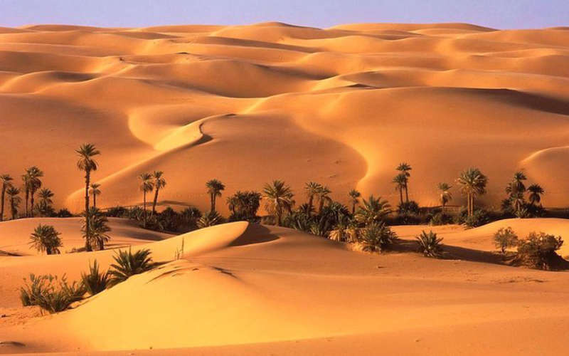 THE BEST DESERT SAFARI TOURS IN DUBAI WHAT TO EXPECT