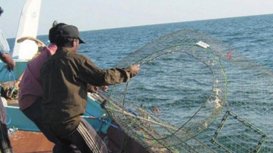 UAE Sheikh Hamdans 27 million dirhams grant to fishermen